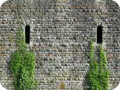 0434 Cardiff Castle Wall.jpg