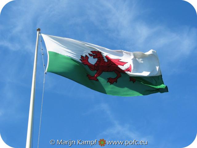 0317 Welsh Flag.jpg