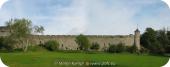 23545-23546 Cahir Castle wall from park.jpg