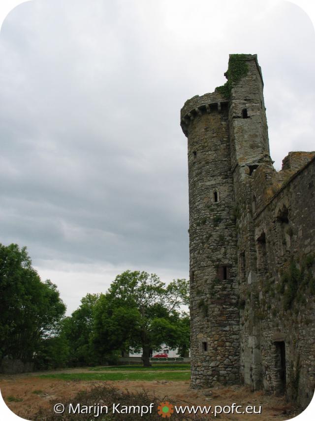 22128 Fethard Castle.jpg