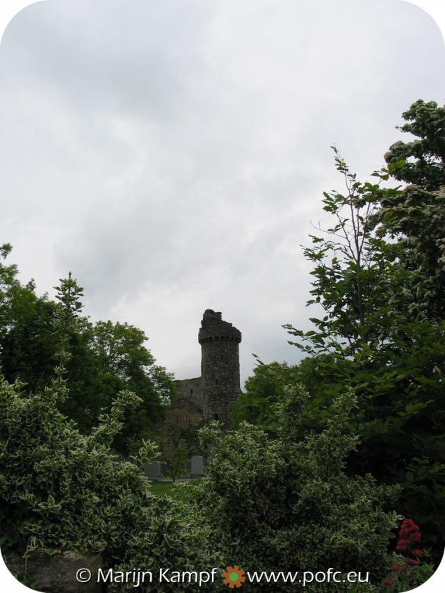 22140 Fethard Castle.jpg