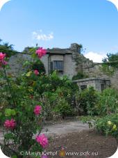 13000 Roses and windows.jpg