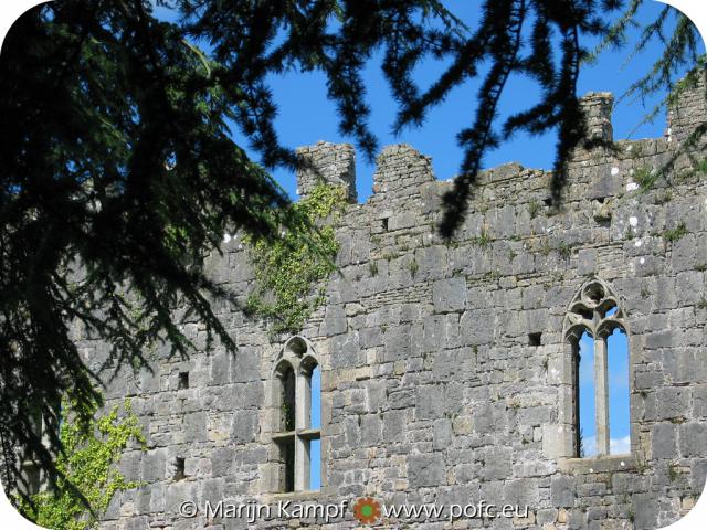 13061 Wall through trees.jpg