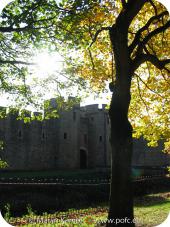 19844 Autumn Trees Cardiff Castle.jpg