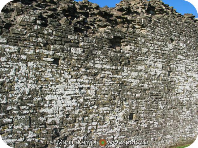 16143 White Castle wall.jpg